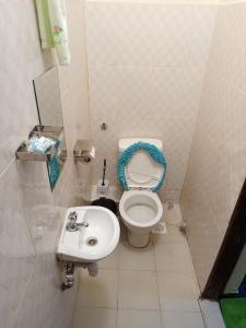 a small bathroom with a toilet and a sink at SAFNEST Furnished Apartment in Nakuru