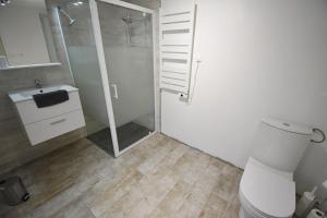 a bathroom with a shower and a toilet and a sink at Bel appartement 2 chambres climatisé in Mont-Notre-Dame +1 photo