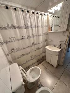 łazienka z toaletą, umywalką i zasłoną prysznicową w obiekcie Hermoso Moderno Depto c/cochera w mieście Olavarría