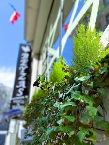 a plant with green leaves in front of a building at Beyzas Hotels & Suites in Istanbul