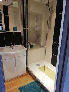 een badkamer met een wastafel en een douche bij LE GITE DE LA MAISON ROUGE in Anctoville