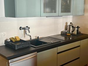 a kitchen counter top with a sink and a sink at Studio Mila in Kranjska Gora