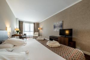 Una habitación de hotel con una cama y un televisor de pantalla plana. en Castilla Termal Olmedo, en Olmedo