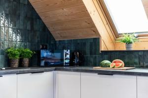 Kuchyňa alebo kuchynka v ubytovaní Apartament Czorsztyn 2