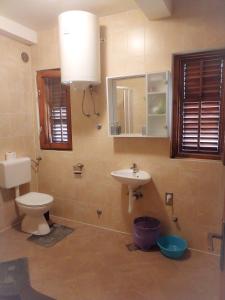 ein Badezimmer mit einem WC, einem Waschbecken und einem Spiegel in der Unterkunft Apartments Patricija in Polače