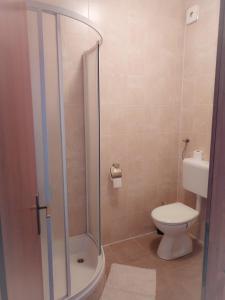 ein Bad mit einer Dusche und einem WC in der Unterkunft Apartments Patricija in Polače