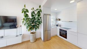 Kuchyňa alebo kuchynka v ubytovaní El Dorado Marbella - Totally Renovated Apartment