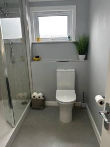 a bathroom with a toilet and a shower and a window at Dyce Flat - Near Airport in Dyce