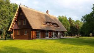 a house with a thatched roof on a grass field at Exklusives Holzhaus in Kolonie