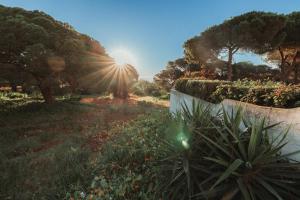 a view of a garden with the sun in the background at Casa Velha Apartments - Adults friendly in Albufeira