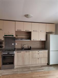 a kitchen with wooden cabinets and a white refrigerator at Apartmán Family s výhľadom na Choč in Lúčky