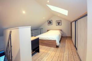 1 dormitorio en el ático con 1 cama y tragaluz en Tanvol4-Climatisation-parking-Terrasse, en Viriat