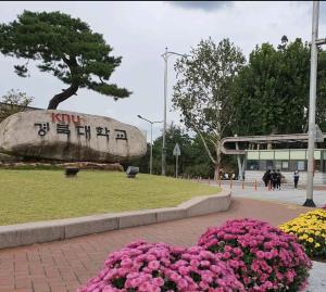 Cozy Place near Kyeongbuk university في دايغو: باقة ورد في حديقة فيها شجرة