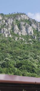 a view of a mountain with trees and rocks at ANDI 2-apartament in Băile Herculane