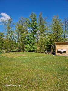 a park with a bench in a field at Camping Alkenhaer Appelscha Lege Kampeerplaats met Prive Sanitair in Appelscha