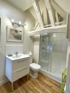 a bathroom with a shower and a toilet and a sink at Le 1731, Rouen coeur d'histoire, superbe duplex in Rouen