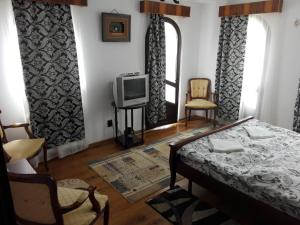 salon z łóżkiem i telewizorem w obiekcie Vila Madudu w mieście Vălenii de Munte