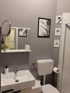 a bathroom with a toilet and a sink and a mirror at Casa della chiocciola in Castel del Piano