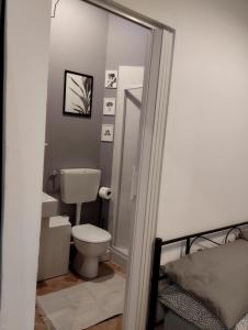 a small bathroom with a toilet and a shower at Casa della chiocciola in Castel del Piano