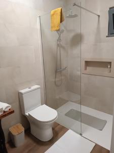 a bathroom with a toilet and a shower at Kings B&B Santa Cruz in Santa Cruz +21 photos