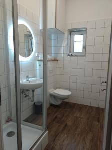 La salle de bains est pourvue de toilettes, d'un lavabo et d'un miroir. dans l'établissement Penzion Litohlavy 17 - Na samotě u lesa, à Králŭv Dvŭr