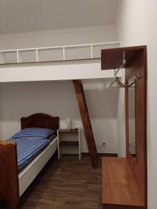 a bedroom with a bunk bed with a ladder at Penzion Litohlavy 17 - Na samotě u lesa in Králŭv Dvŭr