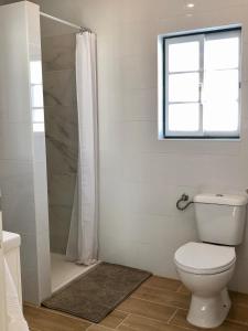 baño con aseo y ducha con ventana en Casa Martins Country Apartment No5 en Freiria
