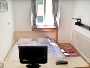 TV a/nebo společenská místnost v ubytování Apartment Jakominiplatz