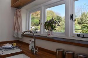 eine Küche mit zwei Fenstern und einem Waschbecken mit Blumen in der Unterkunft Applecote a studio apartment for two Rye, East Sussex in Rye