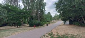 a walking path in a park with trees at Charming 2-Bed Apartment in London in London