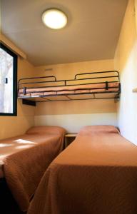 ポルト・ポテンツァ・ピチェーナにあるCamping Village Costa Verdeの二段ベッド2台と窓が備わる客室です。