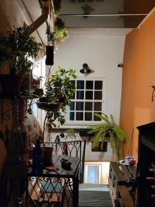 Fotografie z fotogalerie ubytování inBraga Hostel v destinaci Braga