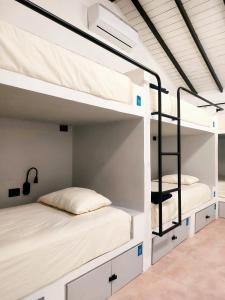 a bedroom with two bunk beds in a room at Dreamer Santa Marta in Santa Marta