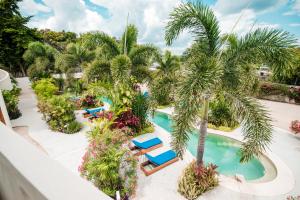 an aerial view of a resort pool with palm trees and lounge chairs at Blue Palm Bacalar - Adults only in Bacalar