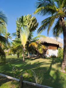 um resort com palmeiras e um edifício em Cabana Ferrer 