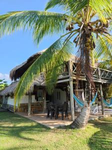 eine Palme vor einem Haus mit einer Hängematte in der Unterkunft Cabana Ferrer 