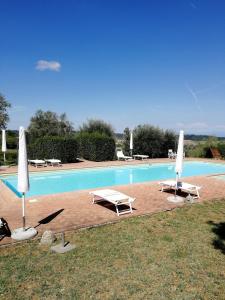 una piscina con 2 tumbonas y sombrillas en CASA PATRIZIA MONTAIONE en Montaione