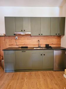 an empty kitchen with a sink and a counter at Fruška house in Bešenovački Prnjavor