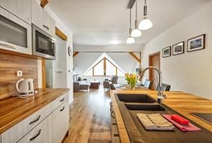 a kitchen with a sink and a living room at Nice accommodation in Mikulov in Mikulov