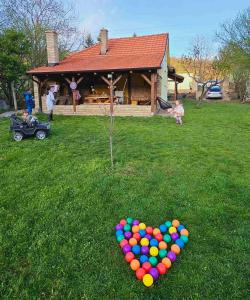 Afbeelding uit fotogalerij van Fruška house in Bešenovački Prnjavor