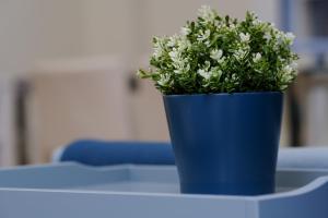 a blue potted plant sitting on a table at Piraeus 4th floor in Piraeus