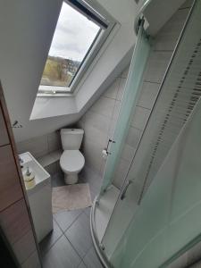 a bathroom with a shower and a toilet at LONDYNEK in Poronin +40 photos