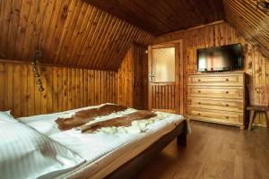 a bedroom with a bed and a dresser and a television at Villa Cztery Strony Świata in Zakopane
