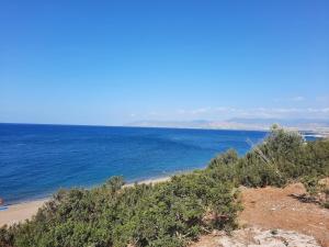 a view of a beach with trees and the ocean at Vasilion Agrotourism in Polis Chrysochous