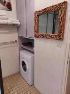 a laundry room with a washing machine and a mirror at LES GÎTES DU DOMAINE DE PETITE-ANSE in Bouillante