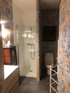 een badkamer met een douche en een toilet bij Abbaye de Saint Jean de Bonneval in Saint-Jean-de-Thouars
