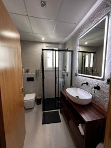 ein Badezimmer mit einem Waschbecken, einem WC und einem Spiegel in der Unterkunft Luxury new 6 pax apart Downtown. in Córdoba