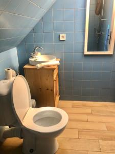 a bathroom with a toilet and a sink at Penzion Ambrozie in Seč