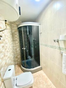 a bathroom with a toilet and a glass shower at Jaime el Conquistador Apartment in Madrid