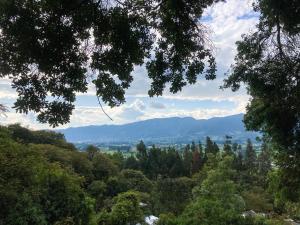 einen Blick auf die Berge aus dem Wald in der Unterkunft Palu Ecoaldea reserva forestal in Tenjo